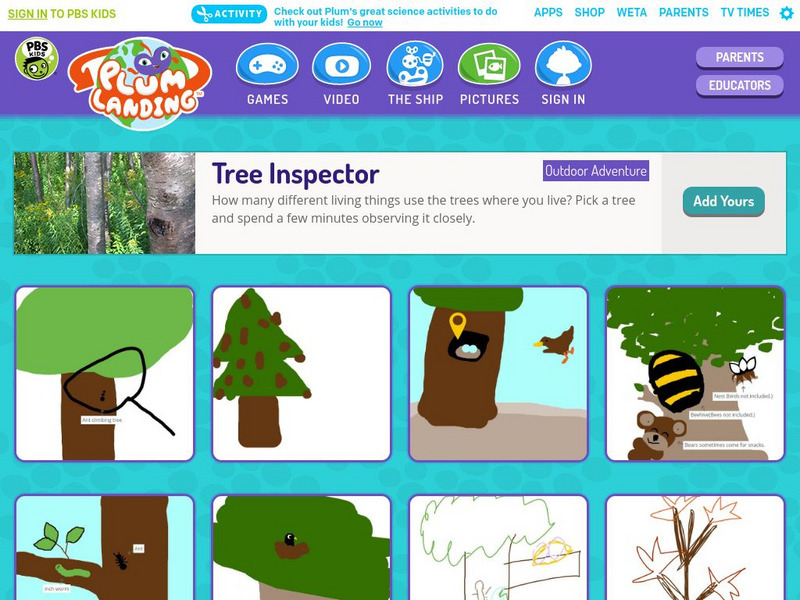 Pbs Kids: Plum Landing: Tree Inspector Activity Pbs Kids: Plum Landing: Tree Inspector Activity