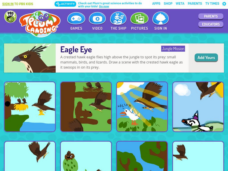 Pbs Kids: Plum Landing: Eagle Eye Activity Pbs Kids: Plum Landing: Eagle Eye Activity