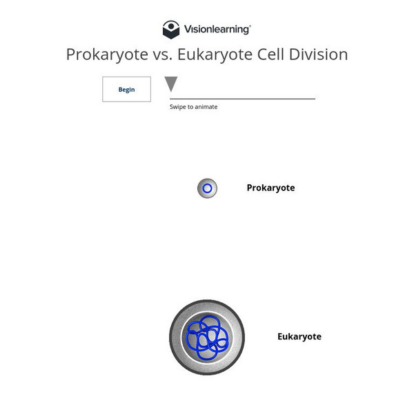 Visionlearning: Prokaryote v. Eukaryote Cell Division Interactive Visionlearning: Prokaryote v. Eukaryote Cell Division Interactive