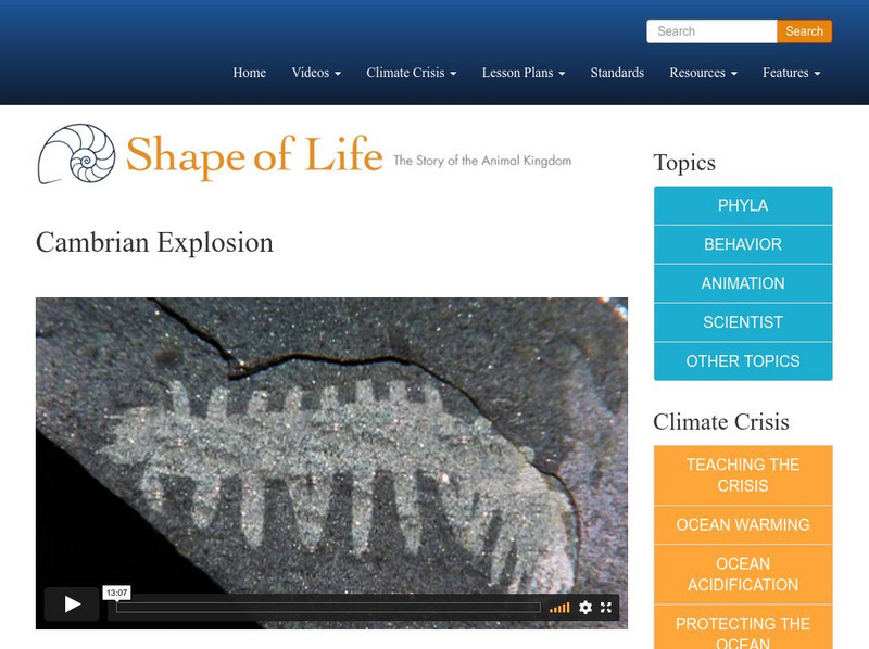 Shape of Life: Cambrian Explosion Instructional Video Shape of Life: Cambrian Explosion Instructional Video
