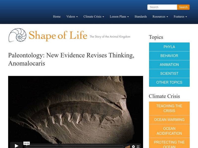 Shape of Life: Paleontology: New Evidence Revises Thinking, Anomalocaris Instructional Video Shape of Life: Paleontology: New Evidence Revises Thinking, Anomalocaris Instructional Video