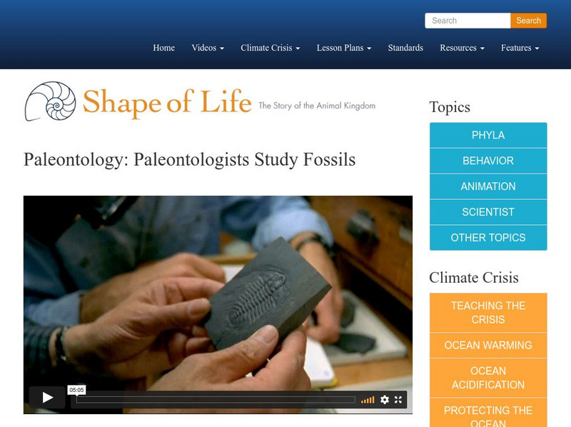 Shape of Life: Paleontology: Paleontologists Study Fossils Instructional Video Shape of Life: Paleontology: Paleontologists Study Fossils Instructional Video