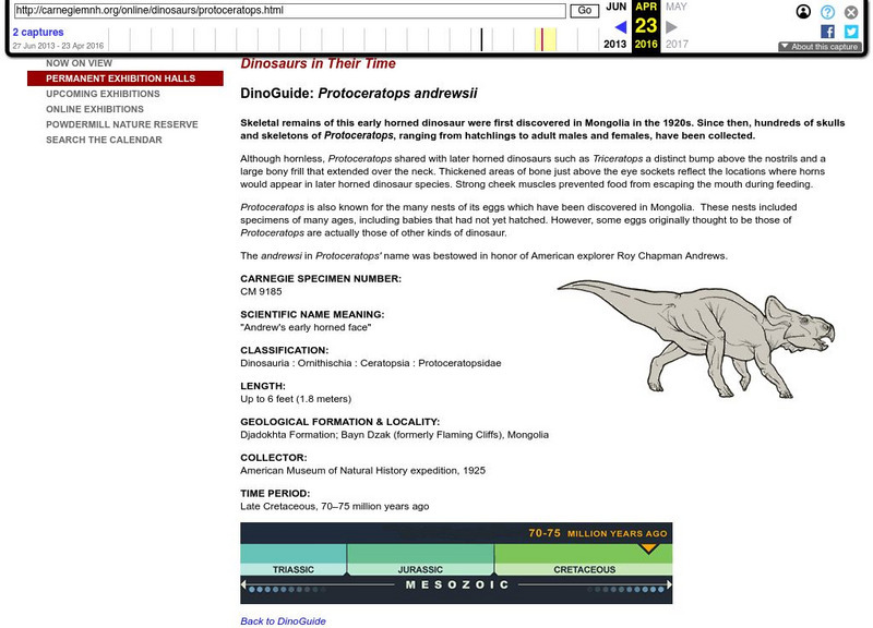 Carnegie Museum of Natural History: Carnegie's Dinosaurs: Dino Guide: Protocerato Handout Carnegie Museum of Natural History: Carnegie's Dinosaurs: Dino Guide: Protocerato Handout
