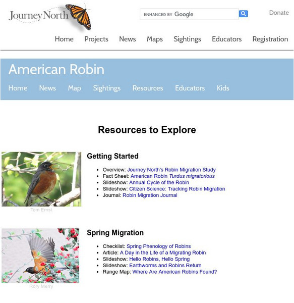 Annenberg Learner: Journey North: American Robin Website Annenberg Learner: Journey North: American Robin Website