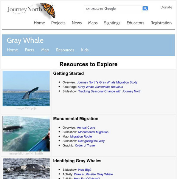 Annenberg Learner: Journey North: Gray Whales Website Annenberg Learner: Journey North: Gray Whales Website