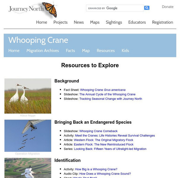 Annenberg Learner: Journey North: Whooping Crane Website Annenberg Learner: Journey North: Whooping Crane Website