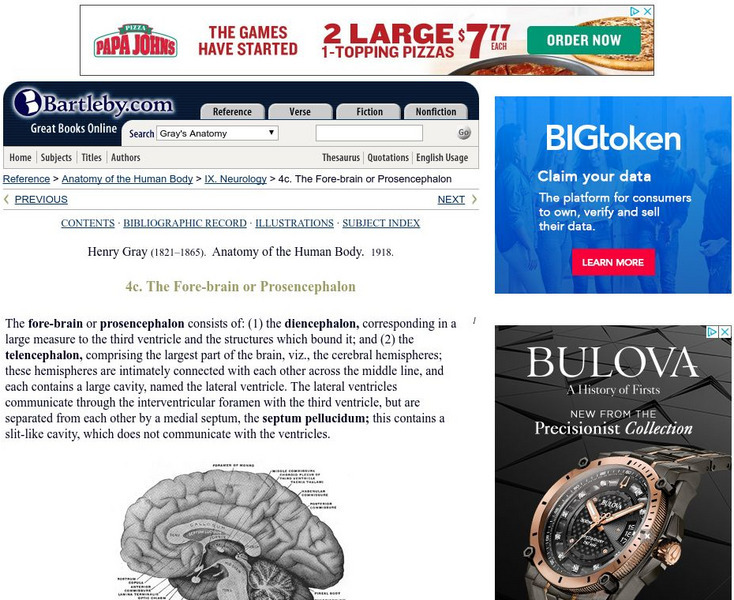 Bartleby.com: The Fore Brain or Prosencephalon Handout Bartleby.com: The Fore Brain or Prosencephalon Handout
