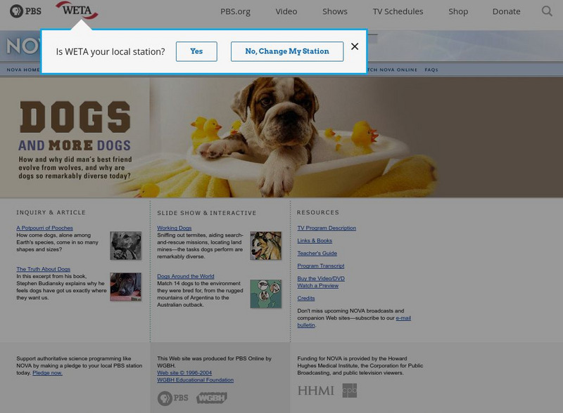 Pbs: Dogs and More Dogs Unit Plan Pbs: Dogs and More Dogs Unit Plan