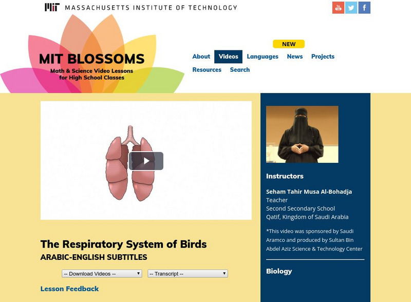 Mit: Blossoms: The Respiratory System of Birds Instructional Video Mit: Blossoms: The Respiratory System of Birds Instructional Video