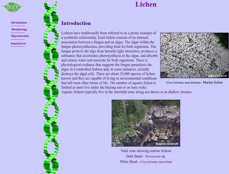 Canada's Aquatic Environment: Lichens Unit Plan Canada's Aquatic Environment: Lichens Unit Plan