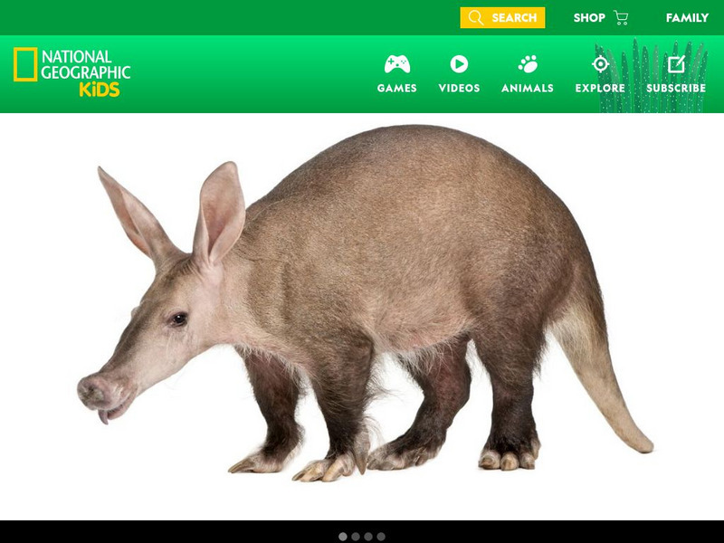 National Geographic Kids: Aardvark PPT