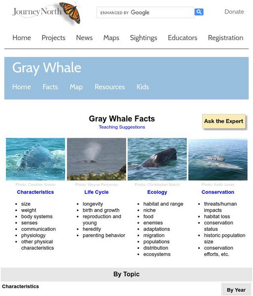 Annenberg Learner: Journey North: Gray Whales Handout Annenberg Learner: Journey North: Gray Whales Handout