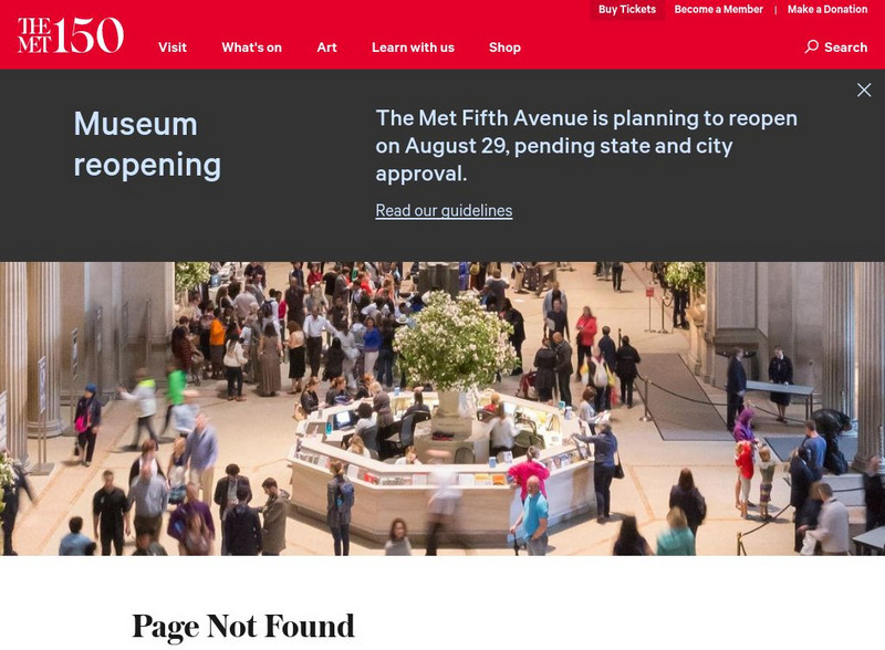 Metropolitan Museum of Art: Knights in Central Park Unit Plan