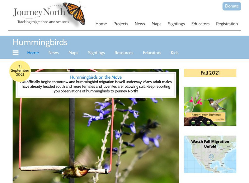 Annenberg Learner: Journey North: Hummingbird Activity Annenberg Learner: Journey North: Hummingbird Activity