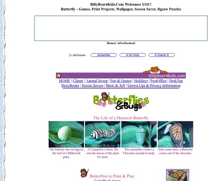 Billy Bear4 Kids: Butterflies and Bugs Activity Billy Bear4 Kids: Butterflies and Bugs Activity
