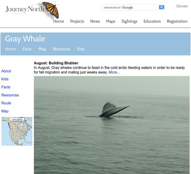 Annenberg Learner: Journey North: Gray Whales Handout Annenberg Learner: Journey North: Gray Whales Handout