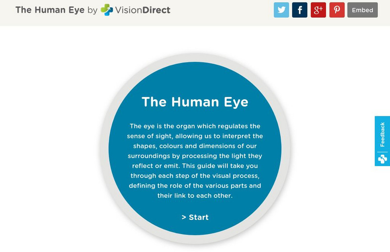Vision Direct: The Human Eye Interactive Vision Direct: The Human Eye Interactive