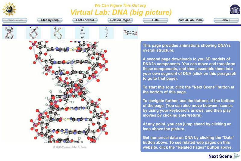 Uva Virtual Lab: Dna (Big Picture) Instructional Video Uva Virtual Lab: Dna (Big Picture) Instructional Video