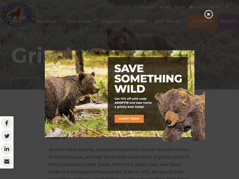Defenders of Wildlife: Grizzly Bear Article