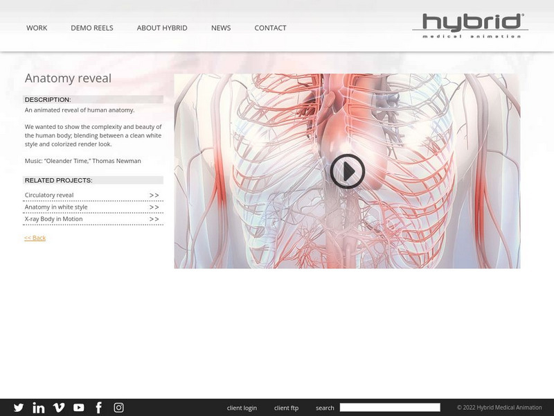 Hybrid Medical Animation: Anatomy Reveal Instructional Video