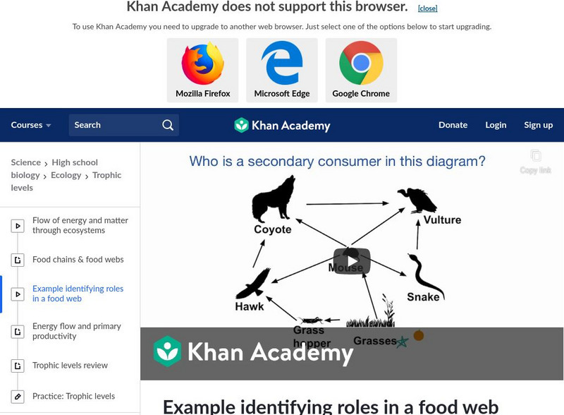 Khan Academy: Ecology: Example Identifying Roles in a Food Web Instructional Video Khan Academy: Ecology: Example Identifying Roles in a Food Web Instructional Video