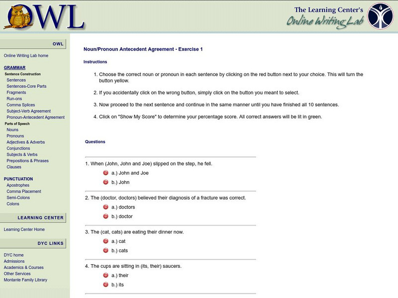 The Learning Center: Owl: Noun/pronoun Antecedent Agreement Exercise 1 Unknown Type The Learning Center: Owl: Noun/pronoun Antecedent Agreement Exercise 1 Unknown Type