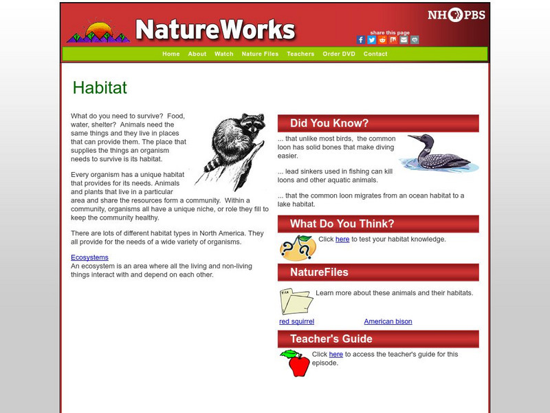 Nh Pbs: Nature Works: Habitat Website Nh Pbs: Nature Works: Habitat Website