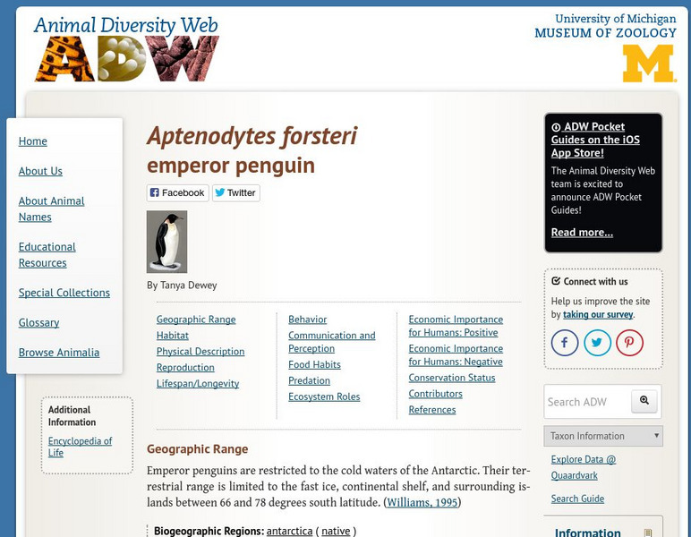 Animal Diversity Web: Emperor Penguin Handout Animal Diversity Web: Emperor Penguin Handout