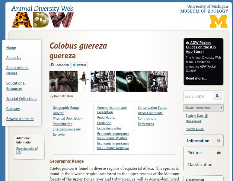 Animal Diversity Web: Colobus Guereza Handout Animal Diversity Web: Colobus Guereza Handout