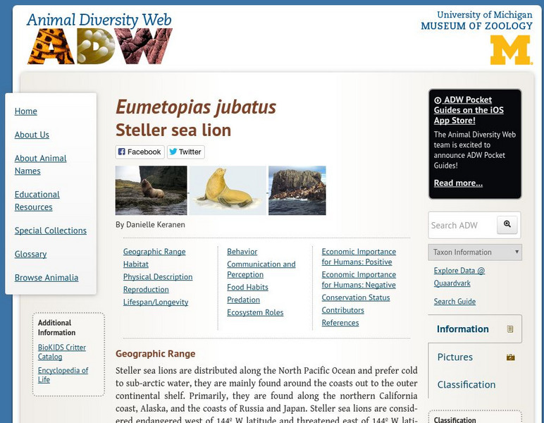Animal Diversity Web: Steller Sea Lion Handout Animal Diversity Web: Steller Sea Lion Handout
