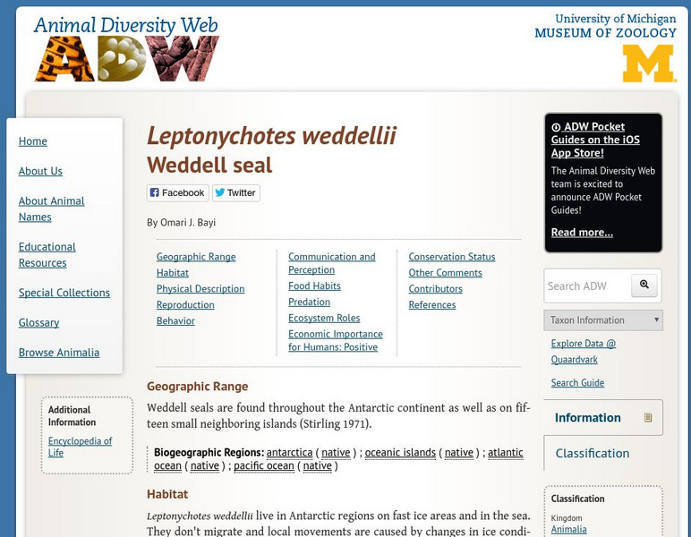 Animal Diversity Web: Weddell Seal Handout