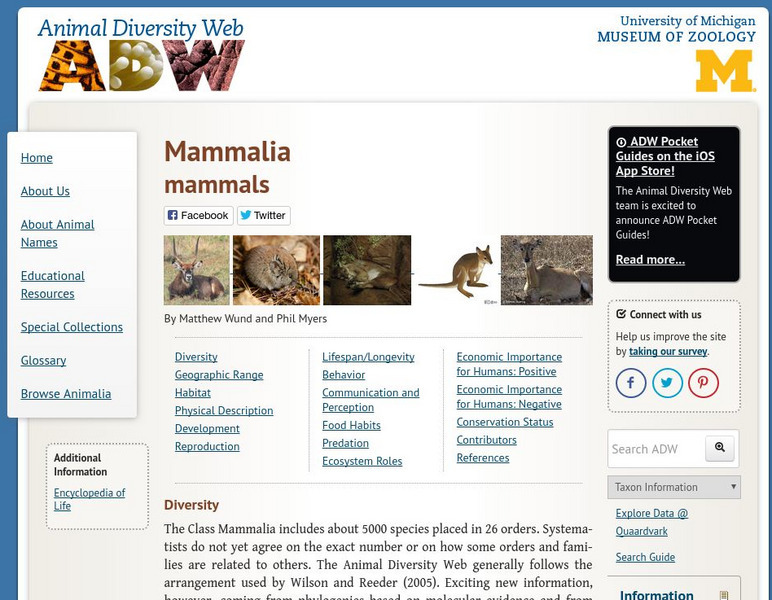 Animal Diversity Web: Mammalia Handout Animal Diversity Web: Mammalia Handout