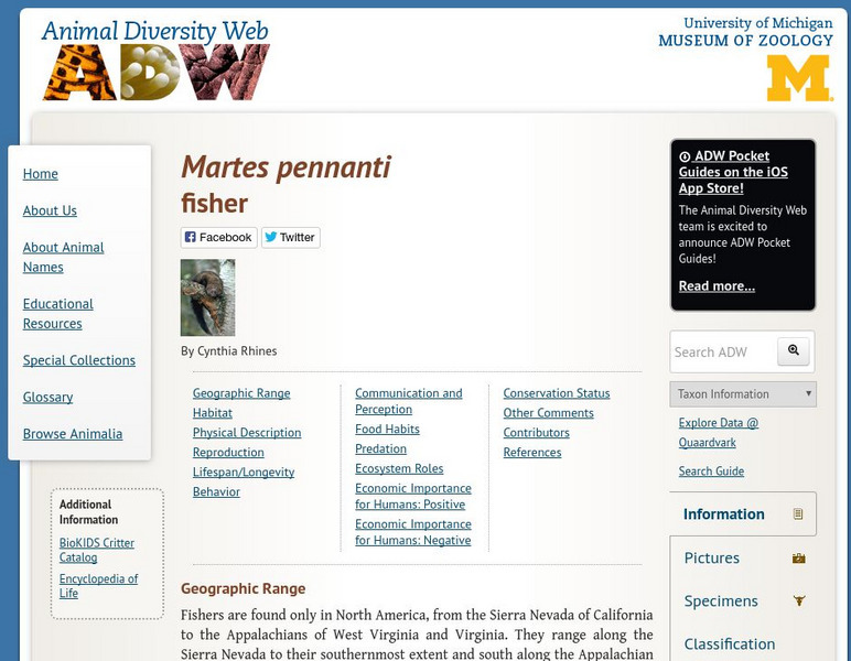 Animal Diversity Web: Fisher Handout Animal Diversity Web: Fisher Handout