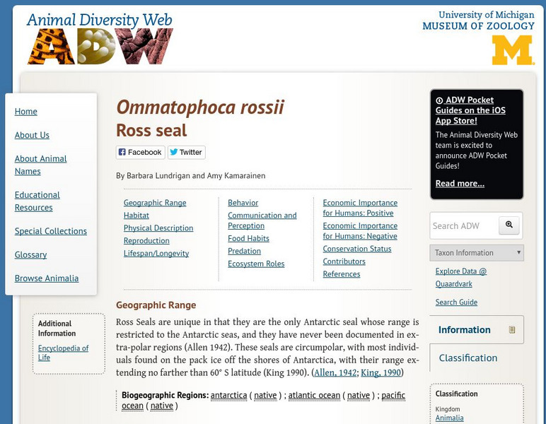Animal Diversity Web: Ross Seal Handout