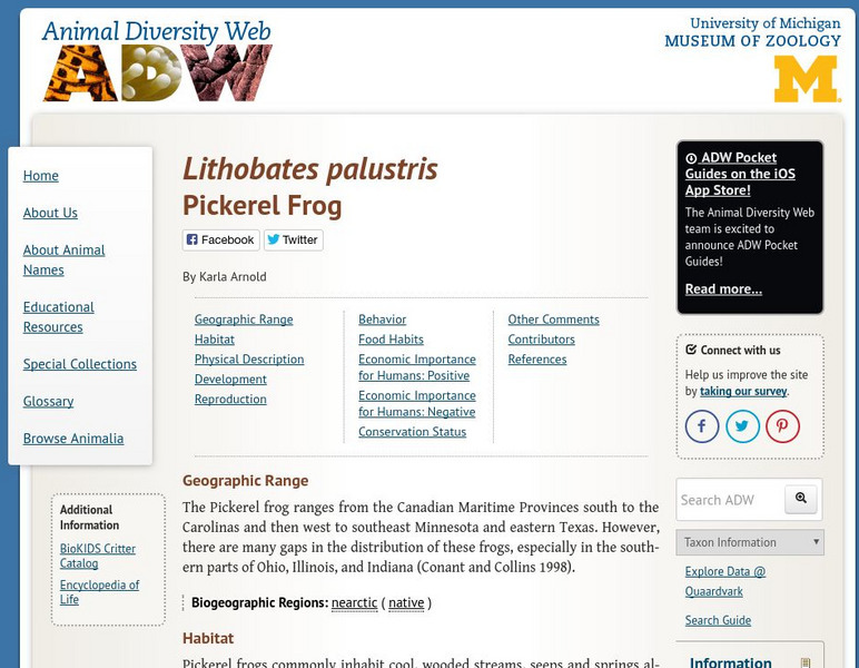 Animal Diversity Web: Rana Palustris Handout Animal Diversity Web: Rana Palustris Handout