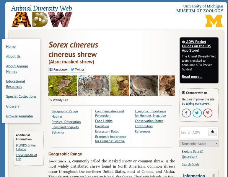 Animal Diversity Web: Masked Shrew Handout