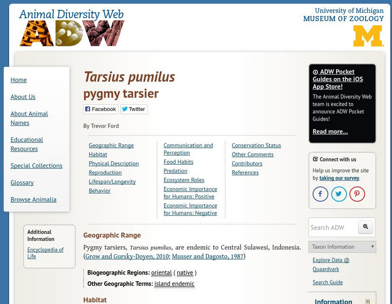 Animal Diversity Web: Tarsius Pumilus Handout