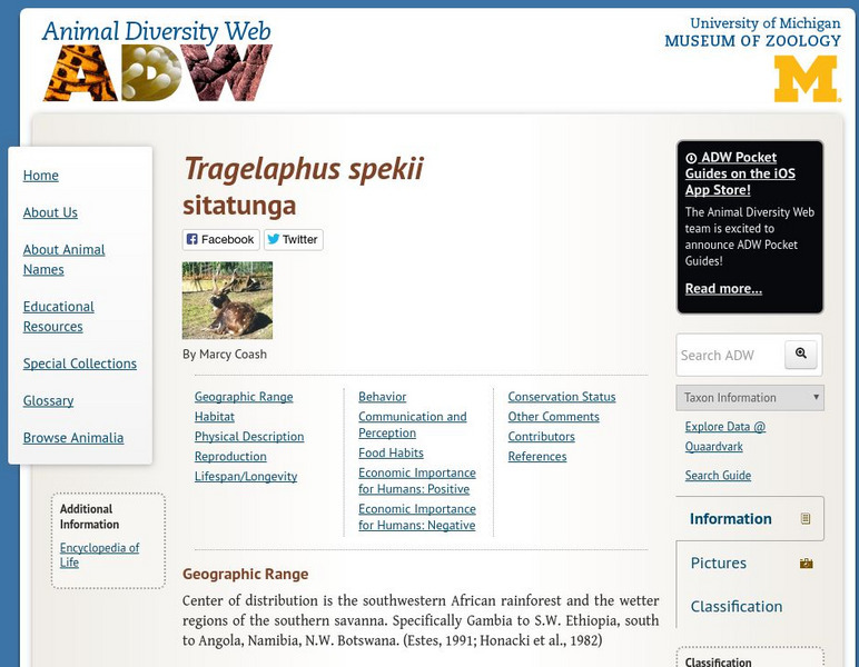 Animal Diversity Web: Sitatunga Handout Animal Diversity Web: Sitatunga Handout