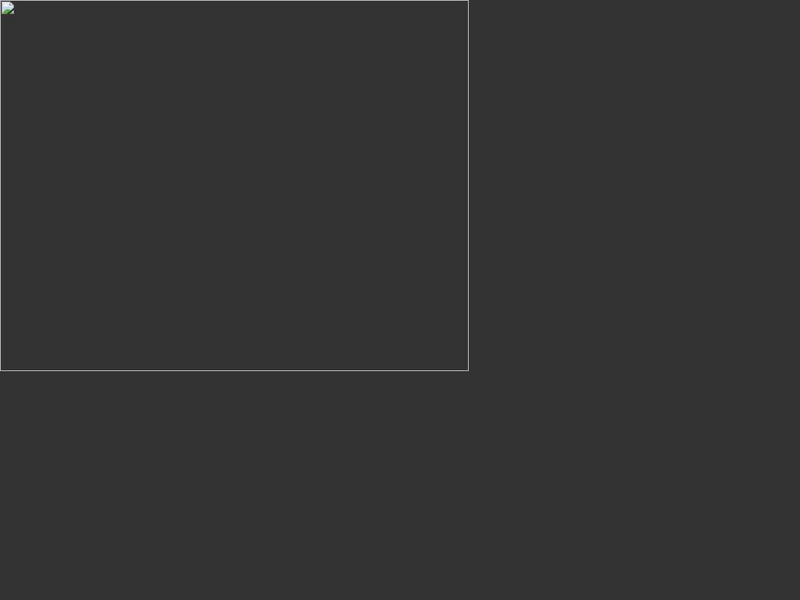 New York Times: China's Rule by Law: PPT