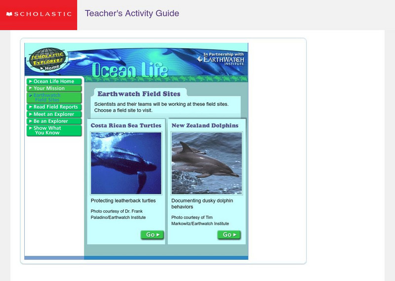 Scholastic: Ocean Life: Earthwatch Field Sites (Sea Turtles & Dolphins) Activity Scholastic: Ocean Life: Earthwatch Field Sites (Sea Turtles & Dolphins) Activity