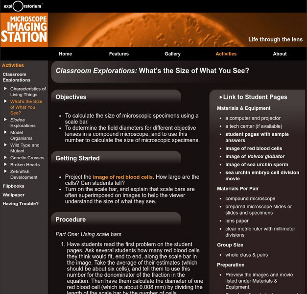 Exploratorium: Microscope Imaging Station: What's the Size of What You See? Lesson Plan Exploratorium: Microscope Imaging Station: What's the Size of What You See? Lesson Plan