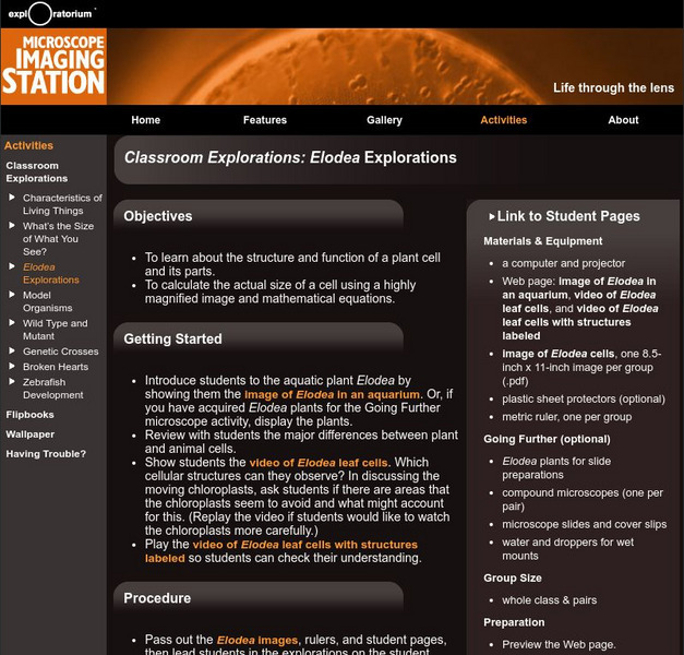 Exploratorium: Microscope Imaging Station: Elodea Explorations Lesson Plan Exploratorium: Microscope Imaging Station: Elodea Explorations Lesson Plan