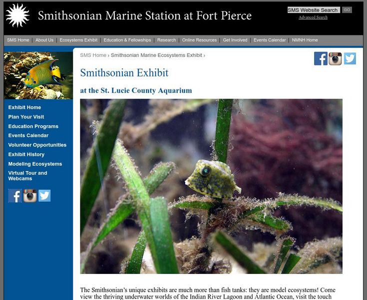 Smithsonian Marine Ecosystems Exhibit Website Smithsonian Marine Ecosystems Exhibit Website