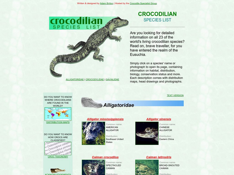 Crocodilian Species List Website Crocodilian Species List Website