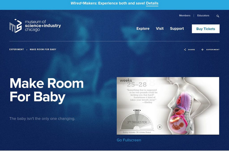 Museum of Science and Industry: Make Room for Baby Interactive