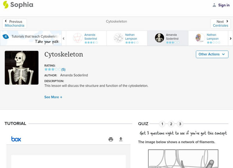 Sophia: Cytoskeleton: Lesson 3 PPT Sophia: Cytoskeleton: Lesson 3 PPT