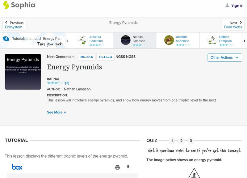 Sophia: Energy Pyramids: Lesson 1 PPT Sophia: Energy Pyramids: Lesson 1 PPT