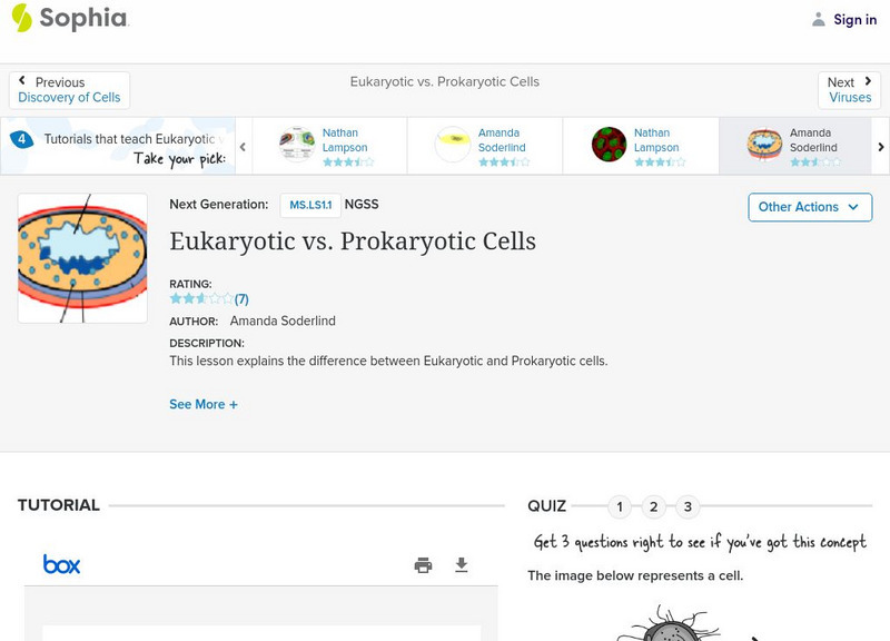 Sophia: Eukaryotic vs. Prokaryotic Cells: Lesson 3 PPT Sophia: Eukaryotic vs. Prokaryotic Cells: Lesson 3 PPT