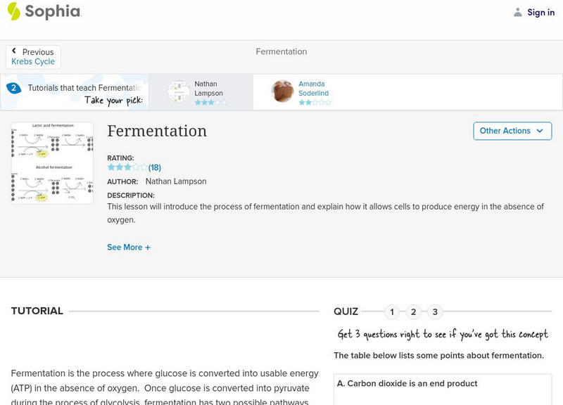 Sophia: Fermentation: Lesson 2 Unit Plan Sophia: Fermentation: Lesson 2 Unit Plan