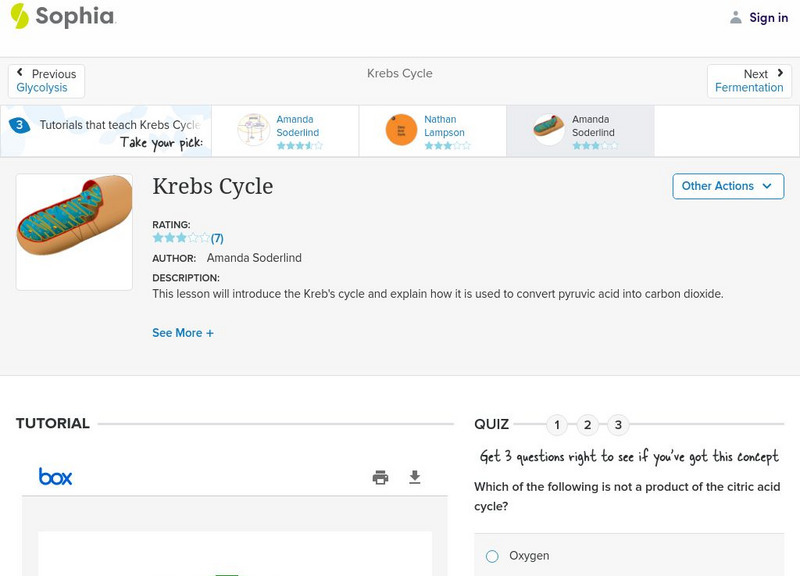 Sophia: Krebs Cycle: Lesson 3 PPT Sophia: Krebs Cycle: Lesson 3 PPT
